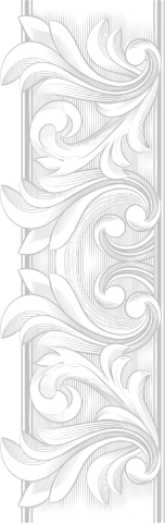 spellg logo